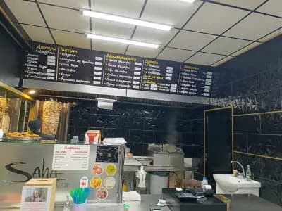Панини
