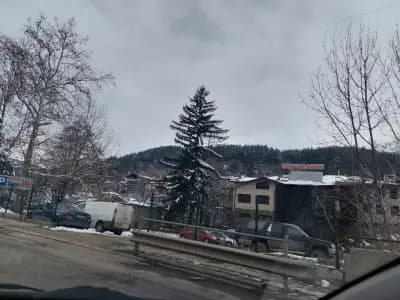 Хостел "Таити"