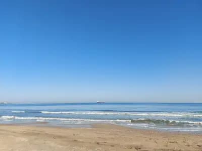 Айляка Бийч Бар