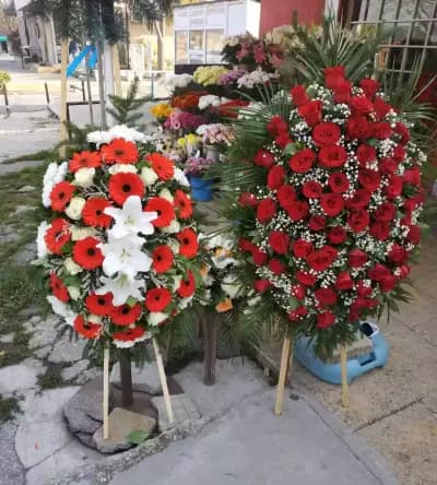 ВАЛДОН