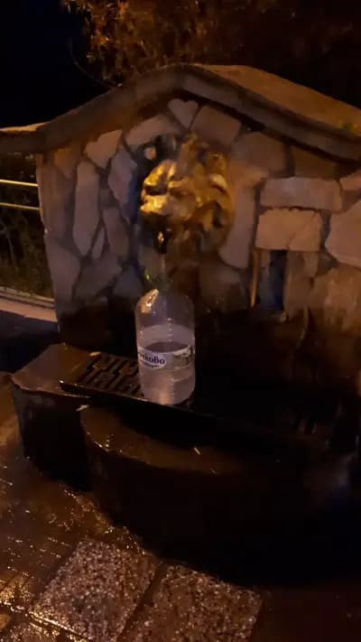 ВЕЦ ЧЕРНИ ОСЪМ