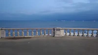 Нов Шанхай