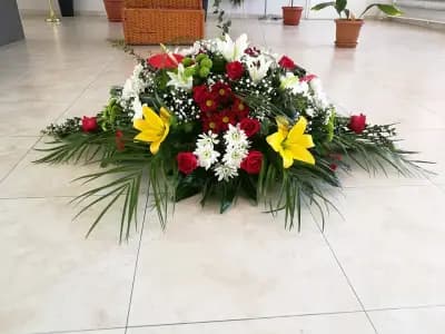 Траурна агенция АДОНИС