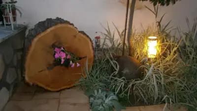 BORDER HOUSE Guest House, Svilengrad, Bulgaria/ БОРДЪР ХАУС