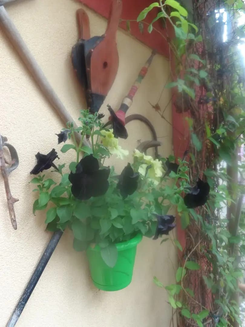 ХОТЕЛ ЧАР