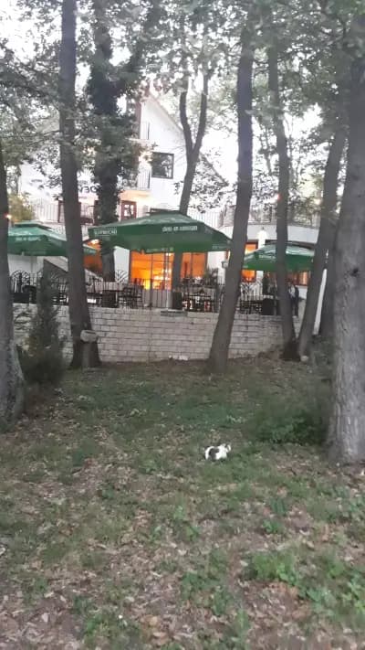 Хотел "Алгара"