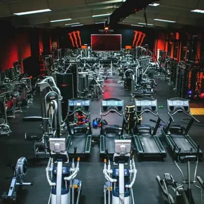 Monsterfitness Kamenec
