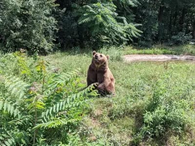 Зоопарк Добрич