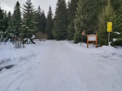 Хижа Филхармонията "Пънчето"