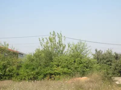 Храм "Света Богородица - Живоприемний източник"