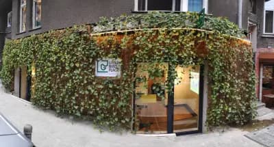 Little Bird Place