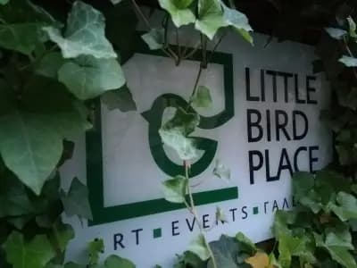 Little Bird Place