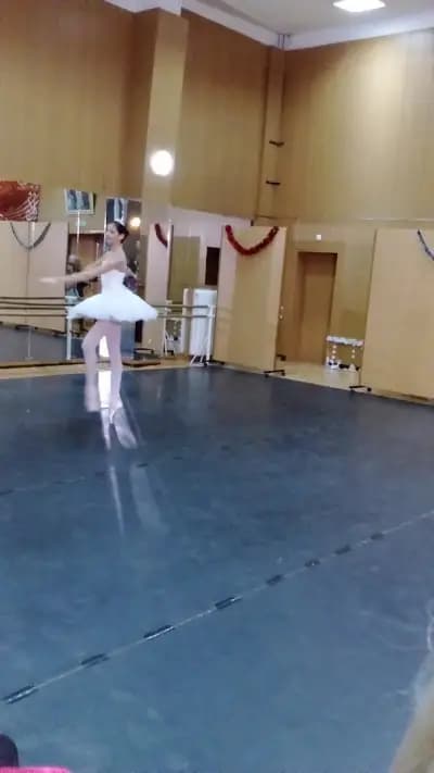 Училище за музикално и танцово изкуство „Добрин Петков“