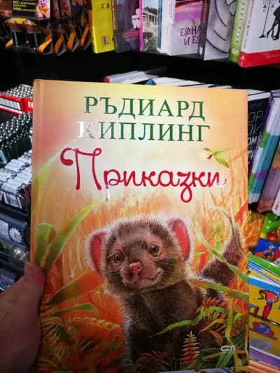 Фантаcтико Ф26