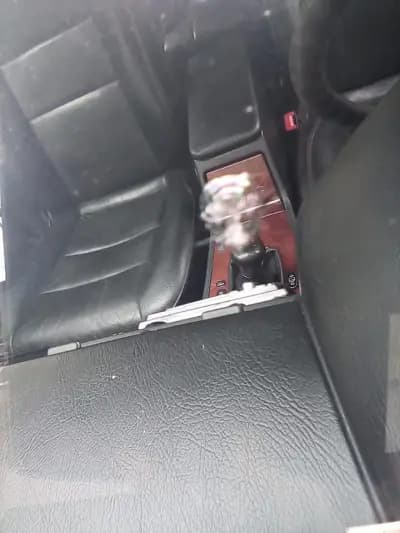 Лепене на спукани автостъкла Русе