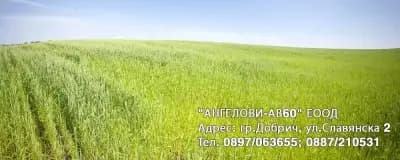 Ангелови-АВ60 ЕООД