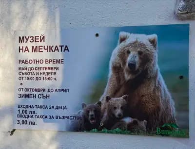 Музей на мечката