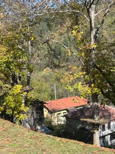 Атракционен въжен парк "Катеричка"
