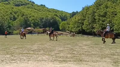 Атракционен въжен парк "Катеричка"