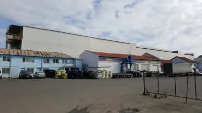 Бигс ООД