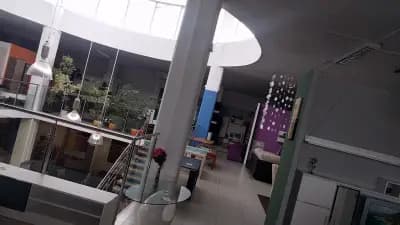 Стилдом