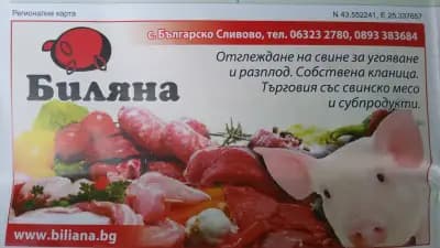 Биляна ООД