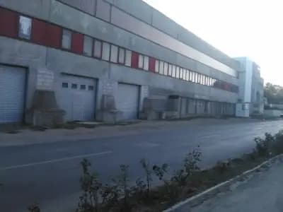 Коев СД