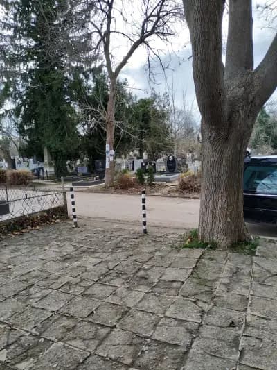 Гробищен парк Чародейка