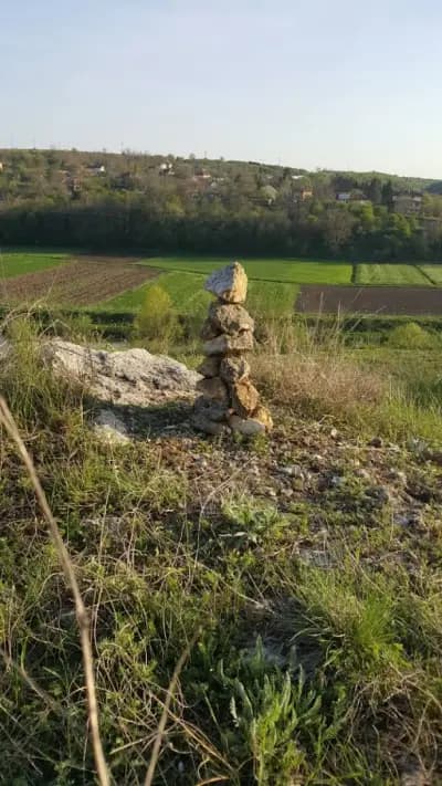 Гробищен парк Чародейка