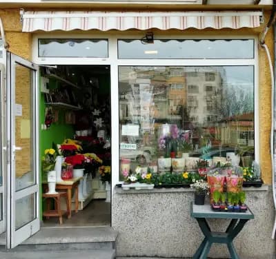 "Млечен път - Русе" ООД