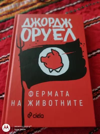 Книжарница Сиела - Русе
