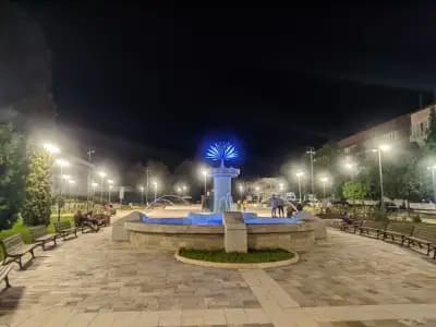 Община Берковица