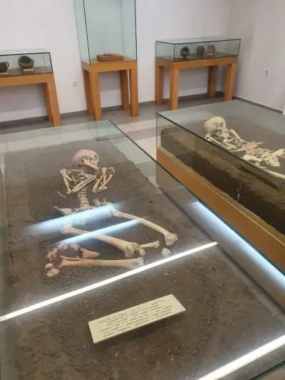 Национален антропологичен музей