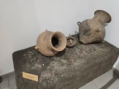 Национален антропологичен музей