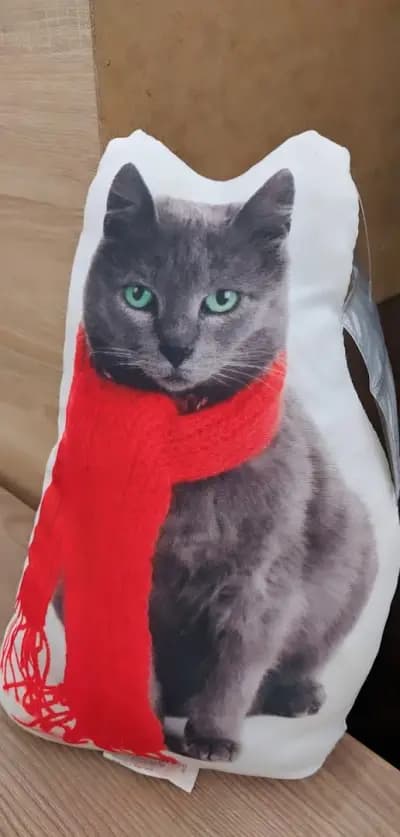 Практикер Русе