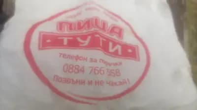 Пица Тути