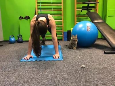 Functional Physique Gym