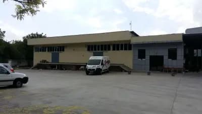 Пайне България ООД