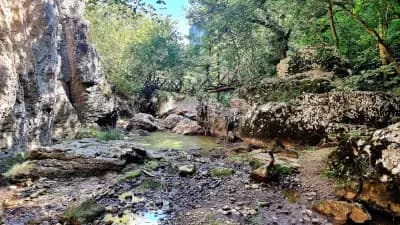 Водопад Момин скок