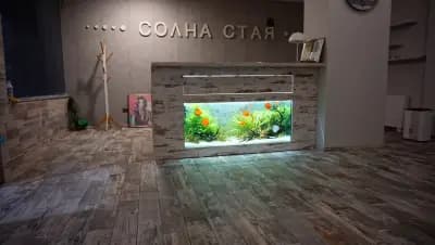 Солна стая Велико Търново