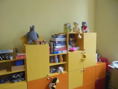 ЦСОП "Иван Вазов" Ново село
