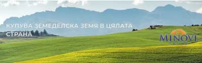 Minovi Group LTD