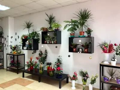 Цветарски магазин ,,City Flowers"