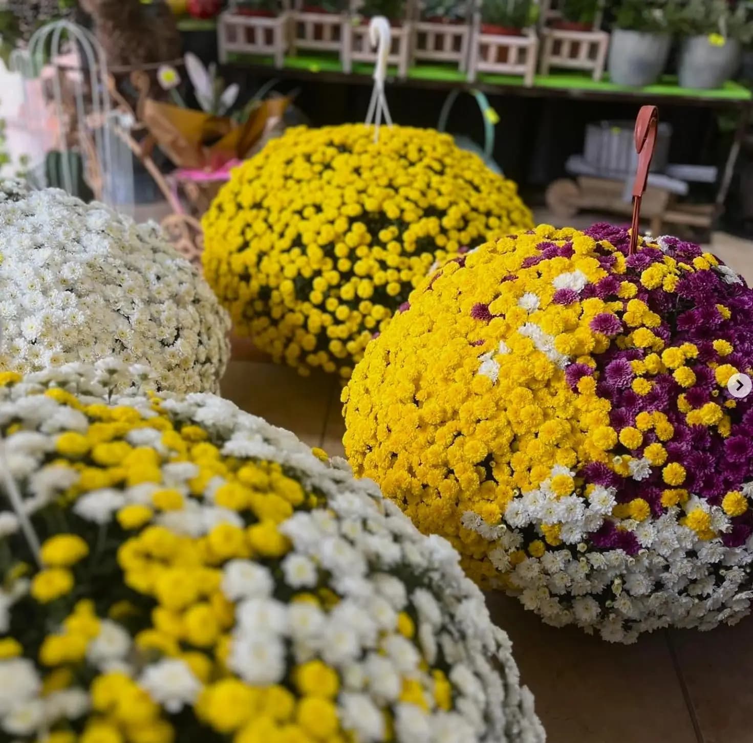 Цветарски магазин ,,City Flowers"