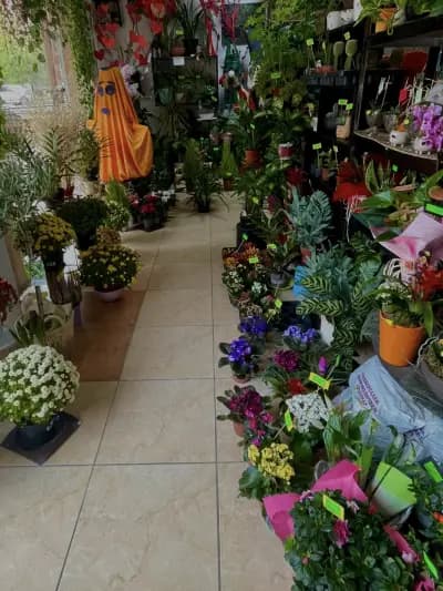 Цветарски магазин ,,City Flowers"