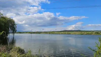 Виваком