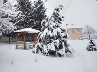 Кметство Александрово