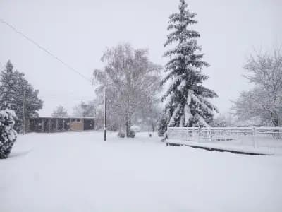 Кметство Александрово