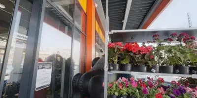 PRAKTIS