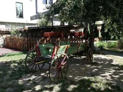 Механа Паяк